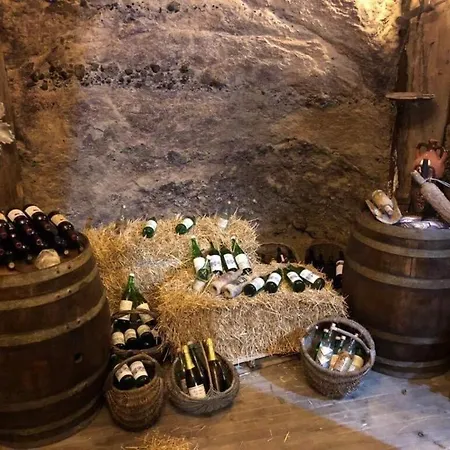 Litov Boutique Estate & *